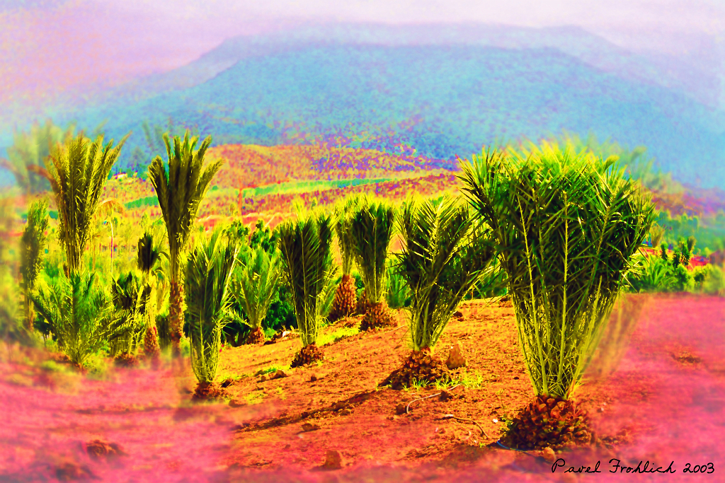 Krajina na Tenerife.jpg